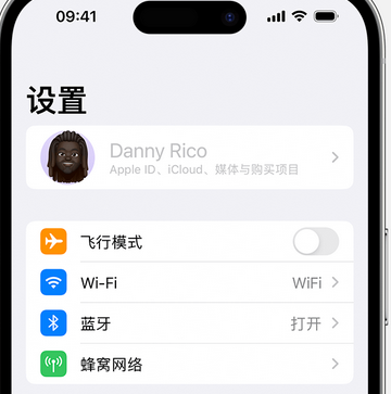 松滋appleID维修服务iPhone设置中Apple ID显示为灰色无法使用 