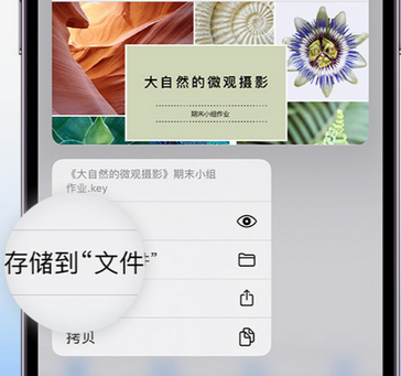 松滋apple维修中心分享iPhone文件应用中存储和找到下载文件