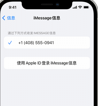 松滋apple维修iPhone上无法正常发送iMessage信息 