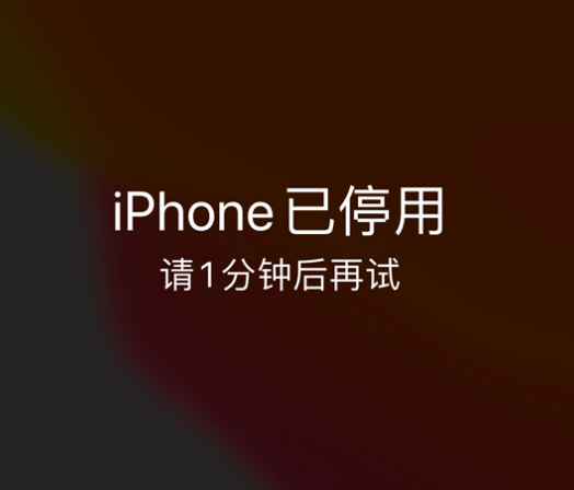 松滋苹果手机维修分享:iPhone 显示“不可用”或“已停用”怎么办？还能保留数据吗？ 