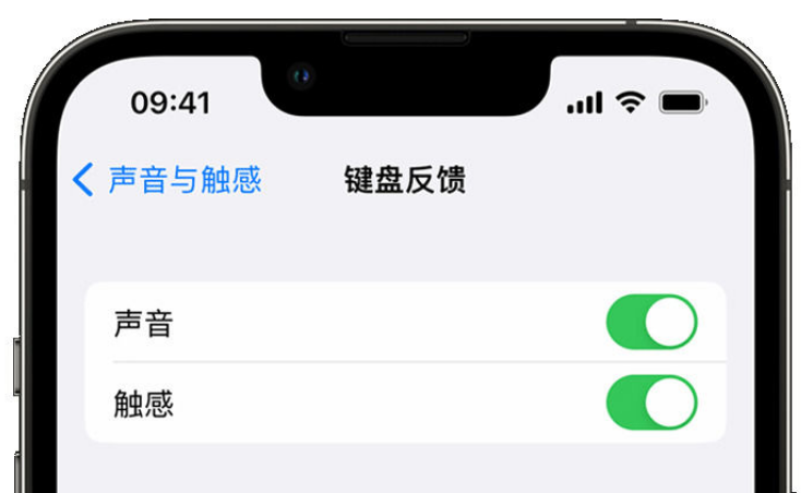 松滋苹果手机维修分享iPhone 14触感键盘使用方法 