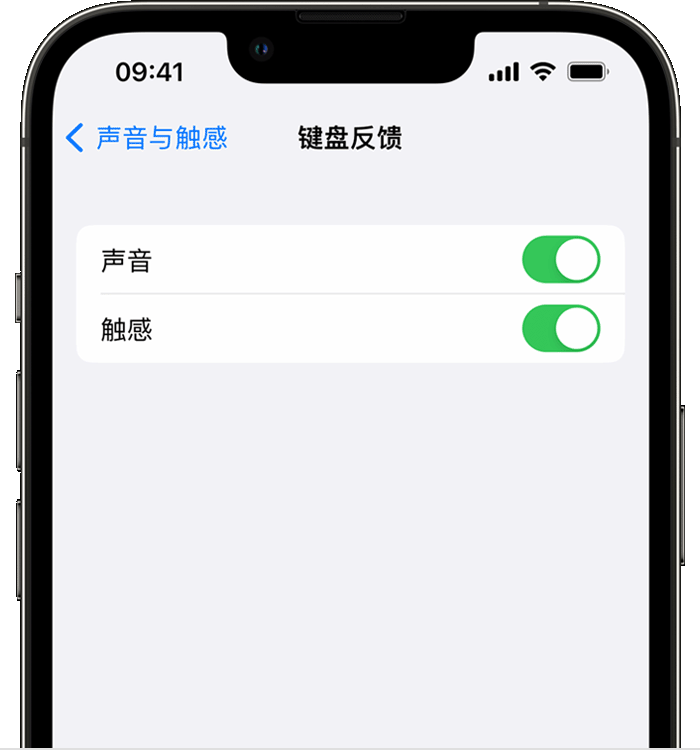 松滋苹果14维修店分享如何在 iPhone 14 机型中使用触感键盘 