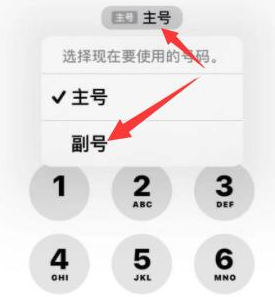 松滋苹果14维修店分享iPhone 14 Pro Max使用副卡打电话的方法 