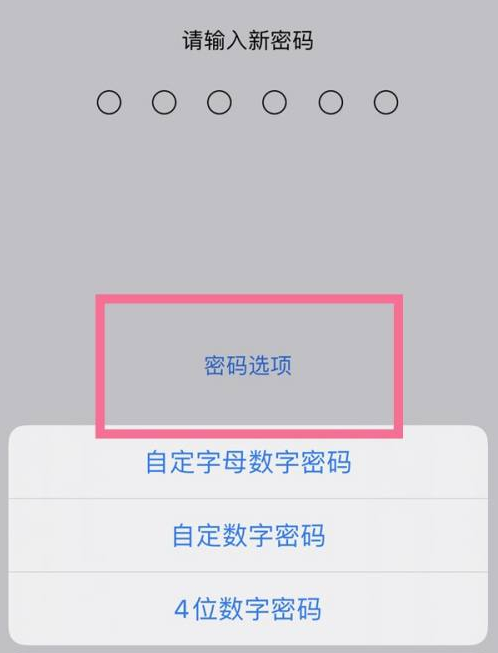 松滋苹果14维修分享iPhone 14plus设置密码的方法 