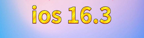 松滋苹果服务网点分享苹果iOS16.3升级反馈汇总 