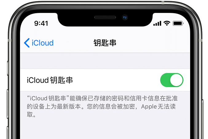 松滋苹果手机维修分享在 iPhone 上开启 iCloud 钥匙串之后会储存哪些信息 